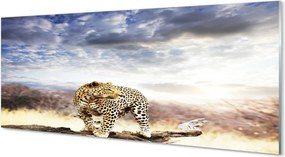 Panel szklany do Kuchni Pantera na tle Chmur