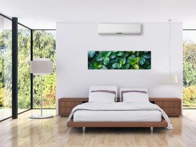 Obraz - Rośliny zielone (170x50 cm)