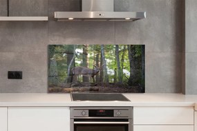 Panel nad Blat Kuchenny Spotkanie z Jeleniem w Puszczy