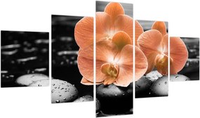 Obraz - Pomarańczowe orchidee (125x70 cm)