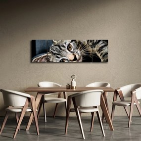Obraz - Kotek (170x50 cm)