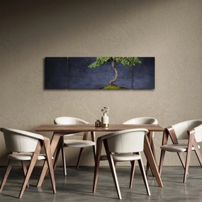 Obraz - Bonsai (170x50 cm)