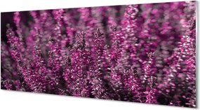 Szkło do Kuchni na Ścianę Jesienne Pole Wrzosów