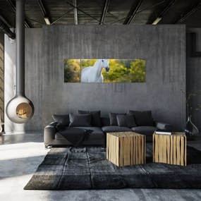 Obraz białego konia na łące (170x50 cm)