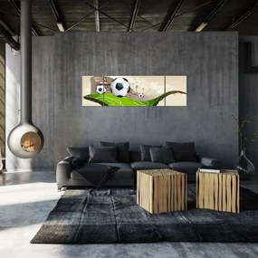 Obraz - Boisko do piłki nożnej (170x50 cm)