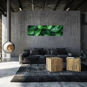 Obraz - Zielone liście (170x50 cm)