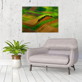 Obraz na szkle - Pola, łąki (70x50 cm)