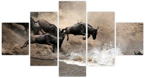 Obraz - Stado antylop gnu (125x70 cm)