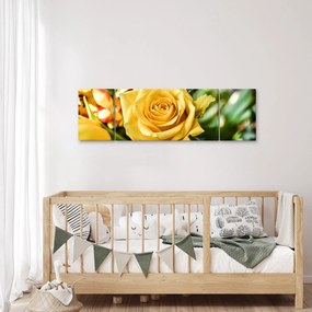 Obraz róży (170x50 cm)