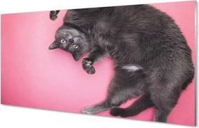 Panel nad Blat Kuchenny Kot w Pozycji Leżącej