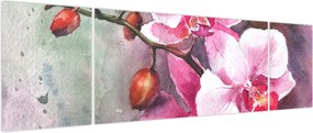 Obraz - Orchidee, akwarela (170x50 cm)