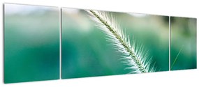 Obraz źdźbła trawy (170x50 cm)