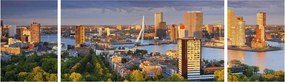Obraz - Panorama Rotterdamu, Holandia (170x50 cm)
