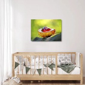 Obraz na szkle - kasztanowce (70x50 cm)