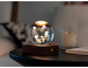 Lampa stołowa LED w naturalnym kolorze ze szklanym kloszem (wysokość 8 cm) Amber – Gingko