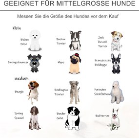 PawHut Sofa dla zwierząt domowych Sofa dla psa koty psy drewno brzozowe nowoczesna jasnoszary