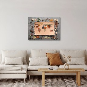 Obraz - Przyprawy świata (70x50 cm)