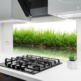 Szkło do Kuchni na Ścianę Świeżość Trawy Nad Wodą