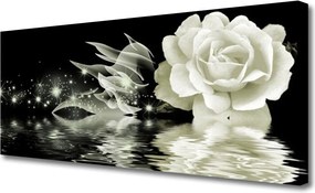 Obraz na płótnie Czerwona Róża w Kroplach Deszczu