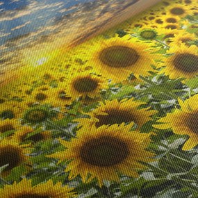 Obraz - Słoneczniki o zachodzie słońca (170x50 cm)