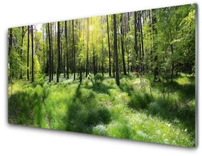 Obraz Szklany Las Trawa Roślina Natura