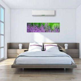 Obraz fioletowych kwiatów polnych (170x50 cm)