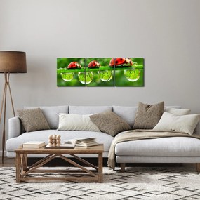 Obraz - Sunshine of the Seven Suns (z zegarem) (90x30 cm)