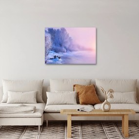 Obraz - Zamarznięta rzeka (70x50 cm)