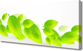 Obraz canvas Zieleń Liści i Kwiatów