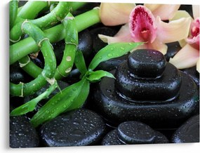 Obraz - Kamienie i orchidee (70x50 cm)
