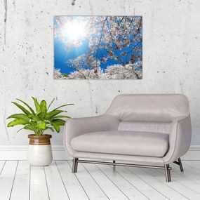 Obraz - Wiśniowe kwiaty (70x50 cm)