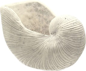 Doniczka Shellfish