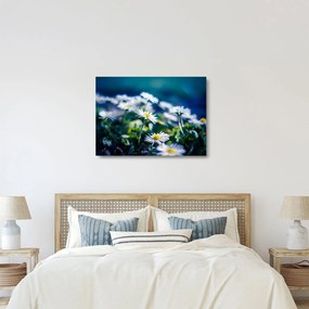 Obraz na szkle stokrotek (70x50 cm)