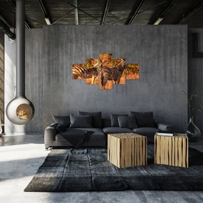 Obraz zebr (125x70 cm)