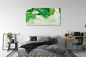 Zdjęcie na płótnie Krople Deszczu na Liściach