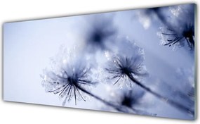 Panel Szklany Ulotny Dmuchawiec na Wietrze