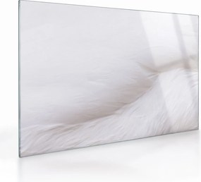 Obraz na szkle - Białe pióro (70x50 cm)