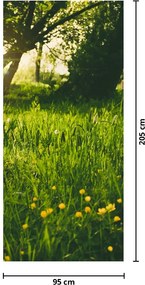 Fototapeta na drzwi - Łąka (95x205cm)