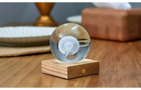 Ciemnobrązowa lampa stołowa ze ściemniaczem i szklanym kloszem (wys. 12 cm) Amber – Gingko
