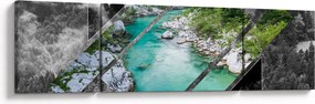 Obraz - Dzika przyroda (170x50 cm)