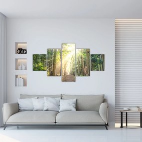 Obraz ścieżki w lesie (125x70 cm)