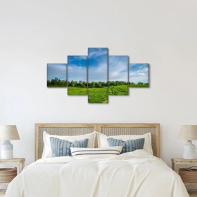 Obraz łąki (125x70 cm)