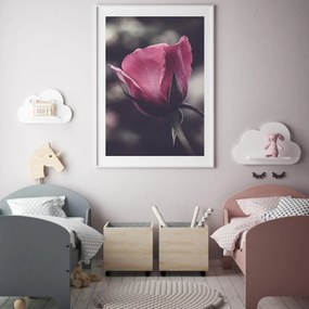 Plakat - Kwiat róży (A4)