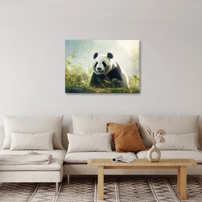 Obraz - Panda (70x50 cm)