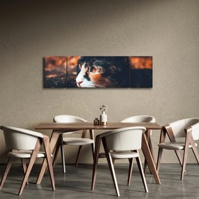 Obraz - Spojrzenie kota (170x50 cm)