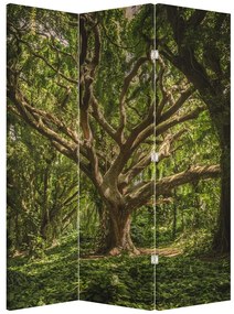 Parawan - Drzewo (126x170 cm)
