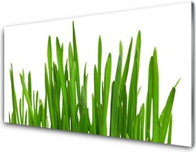 Panel Kuchenny Soczysta Trawa W Makro