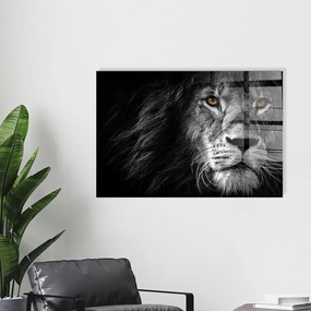 Szklany obraz 70x50 cm Lion – Wallity