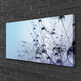 Obraz canvas na ścianę Puszysta Kula Mniszka