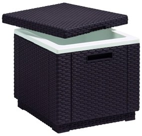 Stolik ogrodowy z pojemnikiem na lód 42x42 cm – Keter